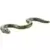 Series 1 - Burmese Python