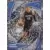Aaron Gordon - Orlando Magic