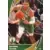 Jayson Tatum - Boston Celtics