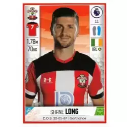 Shane Long - Southampton