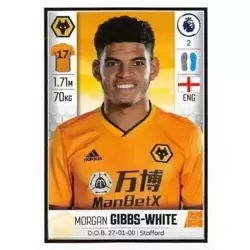 Morgan Gibbs-White - Wolverhampton Wanderers