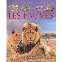 Imagerie animale : Les fauves