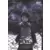 Serial Experiments Lain - Volume 2 - 3 épisodes VF