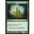 Naturalisation Foil