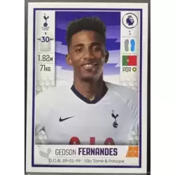 Gedson Fernandes - Tottenham Hotspur