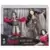 Disney/Hasbro Dolls - Mulan and Xianniang Dolls