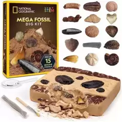 Mega Fossil Dig Kit