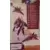 Transformers Cybertron Robots in Disguise - Skywarp
