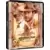 Indiana Jones and the last crusade Steelbook