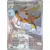 Evolutions à Paldea - PALFR - Raichu