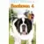 Beethoven 4 [VHS]