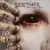 Seether - Karma and Effect