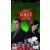Jeux PSP - World Championship Poker featuring Howard Lederer : All In