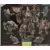 Transformers Power Core Combiners - Power Core Combiners - Grimstone & Dinobots