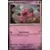 Cartes Promo Ecarlate et Violet - SVPfr - Forgerette