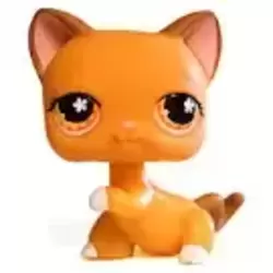 LPS 539