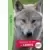 Expédition au pays des loups