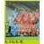 Foot 89 en Images - Equipe (puzzle 1) - Lille Olympique