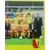 Foot 89 en Images - Equipe (puzzle 2) - Racing Club de Lens