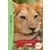 Wild Immersion - Expédition au pays des lions