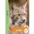 Expédition au pays des lynx