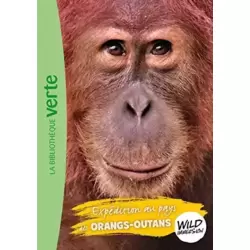 Expédition au pays des orangs-outans