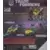 Transformers Generations - Springer