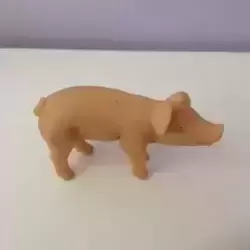 Bébé cochon