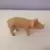 Bébé cochon