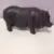 Cochon du vietnam