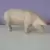 Femelle Cochon