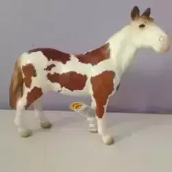 Hongre pinto