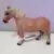 Hongre HAFLINGER
