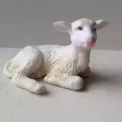 agneau