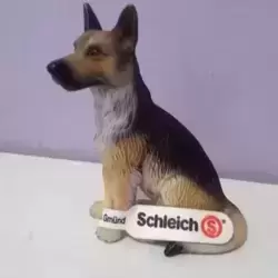 Berger allemand assis
