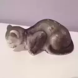 Chat
