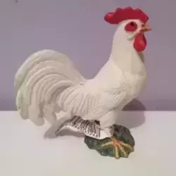 coq