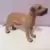 Dogue allemand