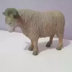 mouton