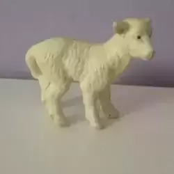mouton