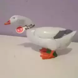 oie