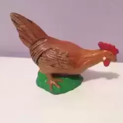 poule