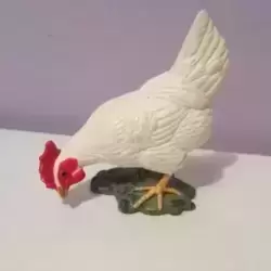 poule