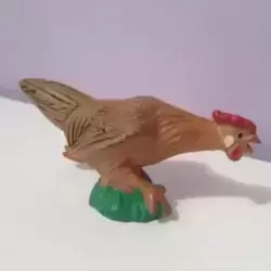 poule