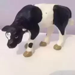 veau holstein