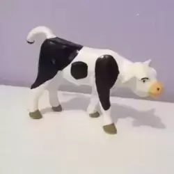 Veau Holstein