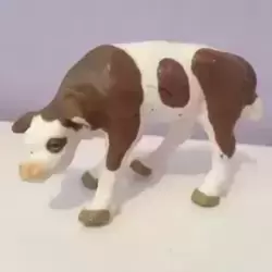 veau simmental français