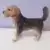 Welsh terrier