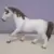 jument LIPIZZAN exclusif