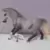 jument LIPIZZAN exclusif